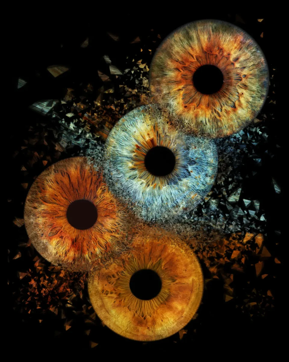Iris photography - Iris Art Photo - 4 Noordy