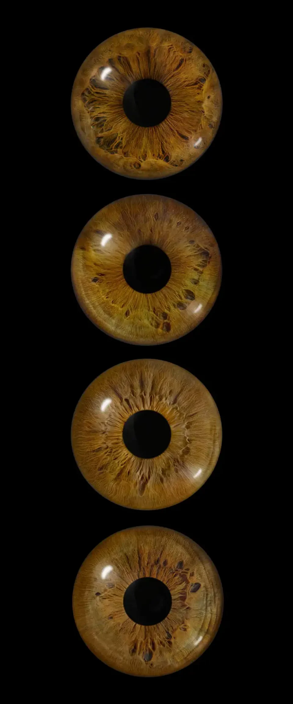 Iris photography - Iris Art Photo timeline 4 irises