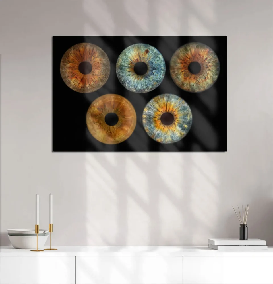 Iris photography - Iris Art Photo - 5 irises