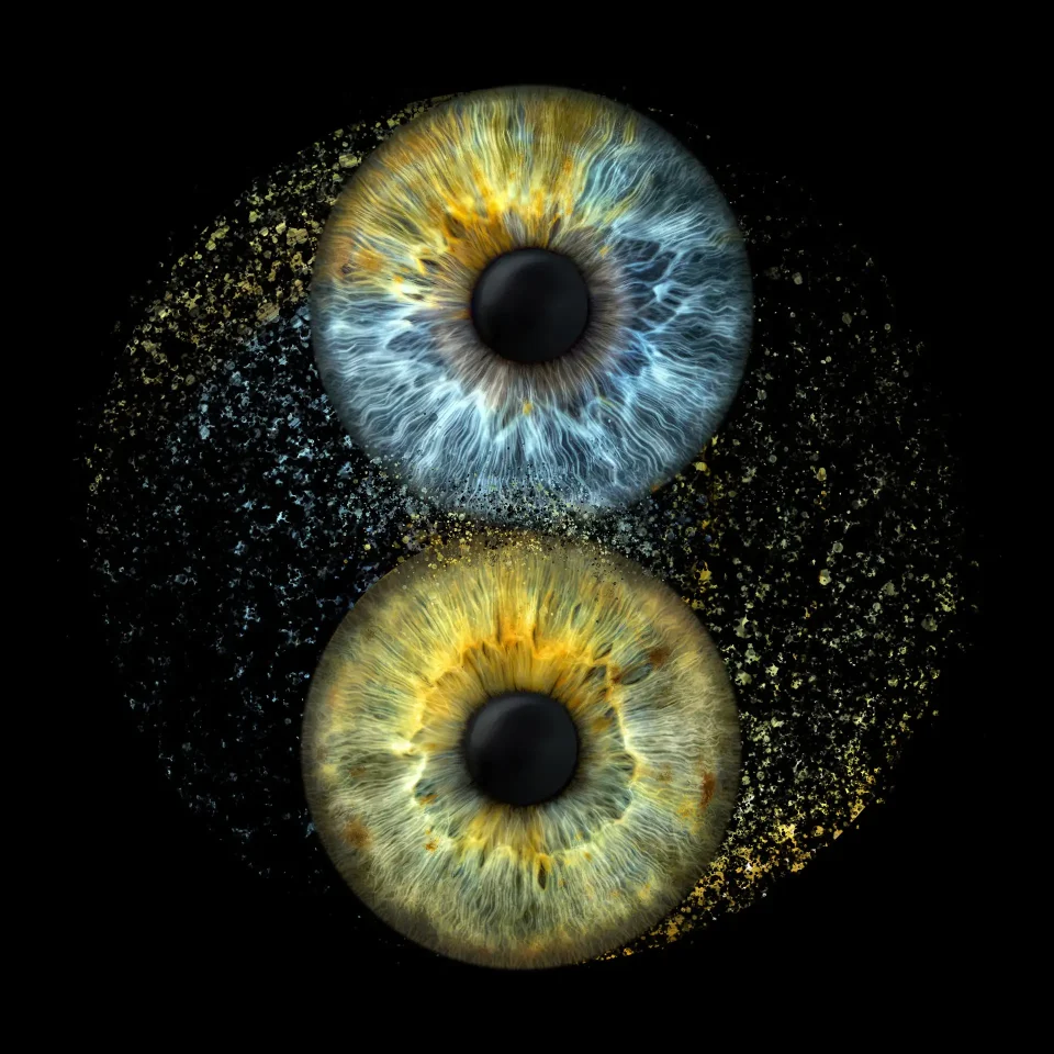 Iris photography - Iris Art Photo - Yin Yang