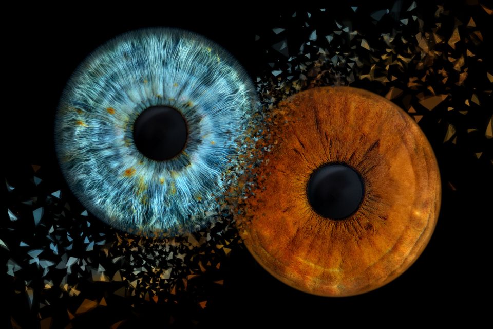 Iris Art Photo - Design Clash
